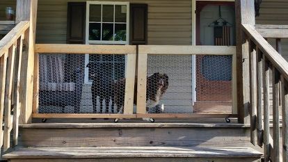 Porch Gate, Deck Gate, Mitre Saw, Wire Wheels, Dream Deck, Tiny House Plan, Front Deck, Porch Railing, Pet Ideas