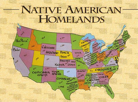 USA Native American Homelands Map Postcard | From their home… | Flickr Comparison Worksheet, Trail Of Tears, Native American Crafts, Homeschool History, History For Kids, Cycle 3, Indian History, Native American History, Native American Culture