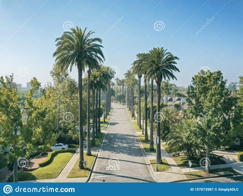 Los Angeles Neighborhoods, Beverly Hills California, Morning Sun, Dream Vacations, In The Morning, The Morning, Beverly Hills, Palm Trees, Travel Inspiration