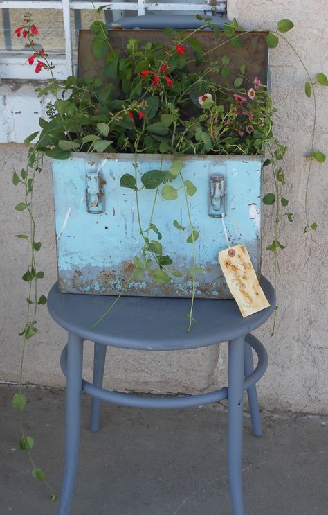 Rustic Tool Box Planter - Too Cute!  http://www.RedRockRoseBoutique.blogspot.com Repurposed Planter, Primitive Garden Decor, Booth Diy, Old Tool Boxes, Galvanized Planters, Metal Tool Box, Flea Market Gardening, Box Garden, Rock Rose