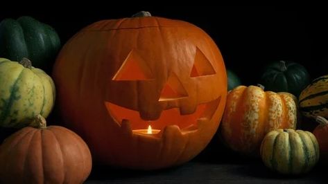 Pumpkin Carving Ideas Creative, Pagan Celebrations, Pumpkin Puns, Pumpkin Vegetable, Glow Halloween, Halloween Videos, Halloween Facts, Halloween Clips, The Dark Night