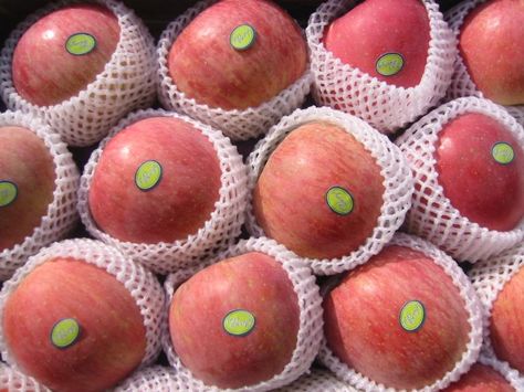 These are my favorite, Fuji Apples! Any other apple pales in comparison. Still trying to find a good substitute when I can get Fujis. Any suggestions? Fuji Apple, Fresh Apples, Qingdao, Fresh Fruit, Apples, Easter Eggs, My Favorite, I Can, Easter