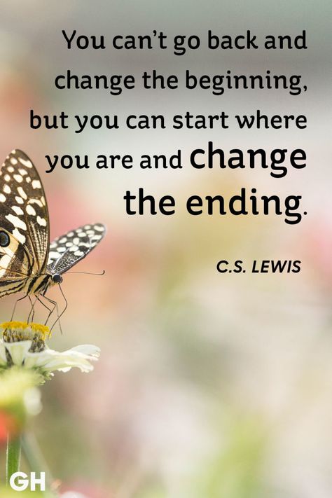 You can't go back and change the beginning, but you can start where you are and change the ending. The Garden Of Words, Butterfly Quotes, Start Where You Are, C S Lewis, Thinking Quotes, Funny Quotes About Life, Trendy Quotes, Change Quotes, Good Life Quotes