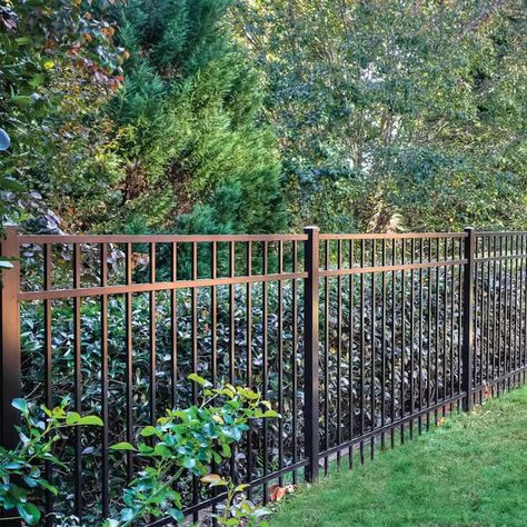 Ironcraft Berkshire Berkshire 4-ft H x 6-ft W Black Aluminum Flat-Top Yard in the Metal Fence Panels department at Lowes.com Metal Fence Panels, Black Fence, Fence Styles, Wrought Iron Fences, Front Yard Fence, Aluminum Fence, Pool Fence, Fence Panel, Fence Landscaping