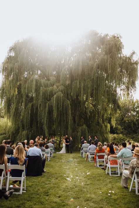 Wedding In The Field, Field Weddings, Wedding Field, Wedding Venues Field, Wedding In Field, Flower Field Wedding Ceremony, Wedding In A Field, Field Wedding Ideas, Field Wedding Reception