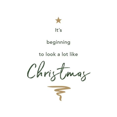 @amandane posted to Instagram: Christmas is my favourite time of the year!  I love to have my family around me and sharing the love of giving!  I am fortunate enough to have all my children and grandchildren with me this year.    How about you?  #familytime #christmas #aroundthechristmastree #timetogive #xmas #christmastime #festive  #christmastree #merrychristmas #familyday #santaclaus #easyonthetongue Holiday Iphone Wallpaper, Hello Christmas, Xmas Quotes, Last Minute Gift Ideas, Winter Quotes, Pre K Activities, Local Gifts, Fleece Baby Blankets, Domestic Goddess