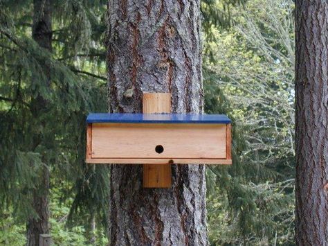 Nighttime Shelter for Winter Birds - plans to build a Bird Roost.  Take them down or close them off in the spring/summer Homemade Bird Houses, Bird House Feeder, Bird House Plans, Winter Birds, Bird House Kits, Bird Aviary, Decorative Bird Houses, Winter Plants, Bird Houses Diy