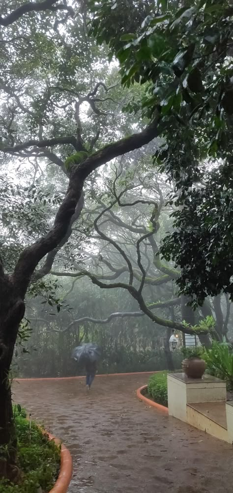 Monsoon In India, Mahabaleshwar Aesthetic, Mahabaleshwar Snap, Matheran Photography, Mahabaleshwar Photography, Nature Asthetics, Monsoon Photography, Delhi Places, Teacup Gardens