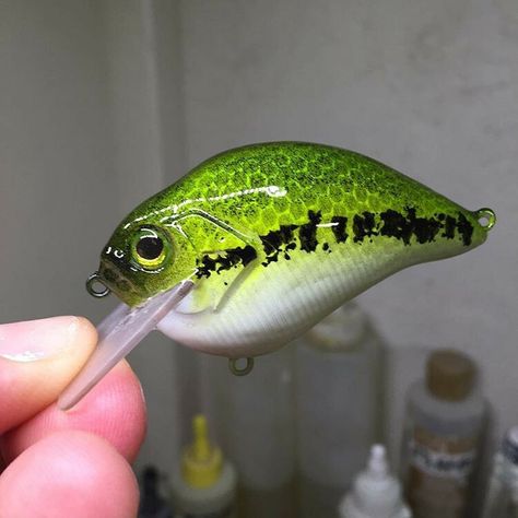 luremeincrankbaits Rapala Fishing Lures, Fishing Lures Art, Fishing Gear Organization, Lure Painting, Bottle Cap Fishing Lures, Custom Fishing Lure, Largemouth Bass Fishing, Homemade Fishing Lures, Custom Lures