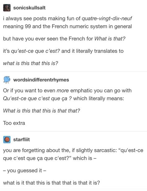 Funny English Language Meme, French Jokes, French Puns, Meme Fr, Language Jokes, Family Guy Quotes, Funny French, Weekend Humor, French Phrases