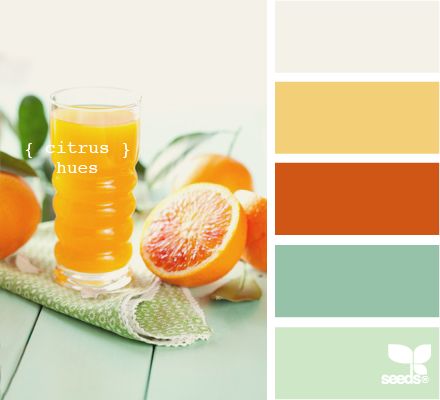 Citrus Hues - Scrapbook.com Kitchen Color Orange, Kitchen Colour Combination, Seeds Color, Summer Wedding Colors, Room Paint Colors, Orange Design, Design Seeds, Paint Colors For Living Room, Living Room Paint