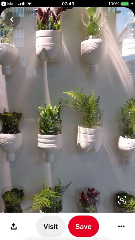 Hanging Plant Pots, نباتات منزلية, Vertical Garden Diy, Succulent Garden Diy, Recycled Garden, Diy Plant Hanger, Bottle Garden, Garden Crafts Diy, Plant Decor Indoor