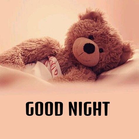 Good Night Bears, Good Night Bear, Good Night Pic, Goodnight Teddy Bear Sweet Dreams, Good Night Teddy Bear, Good Night Teddy Bear Gif, Goodnight Bear, Meme Good Night, Night Pic