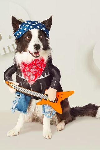 Rock Dog Costume #Halloween #HalloweenCostumes #PetCostumes Disfraz Rock And Roll, Star Wars Pet Costumes, Cool Pet Names, Funny Pet Costumes, Best Dog Costumes, Dog Fancy Dress, Dog Costumes Funny, Rock And Roll Music, Diy Dog Costumes