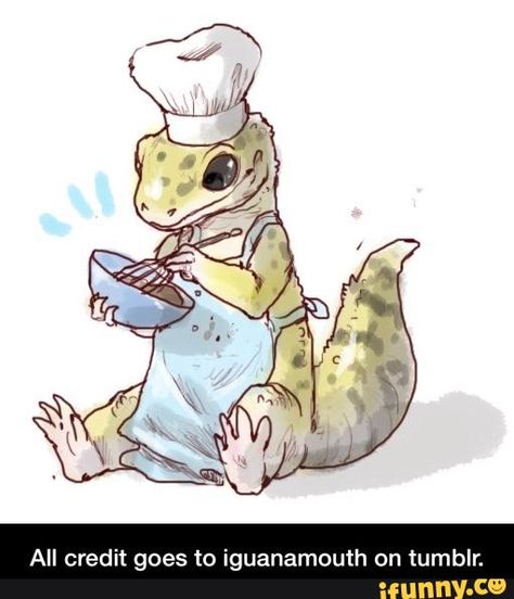 Gecko, Tumblr, Memes