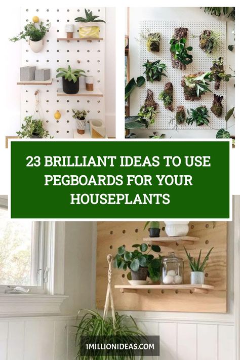 If you want to organize your plants in new ways and decorate your home with style, these Pegboard ideas today are for… Plant Wall Indoor, Living Wall Diy, Peg Board Walls, Skadis Pegboard, Pegboard Ideas, Wooden Pegboard, Pegboard Display, Succulent Display, Diy Hanging Planter