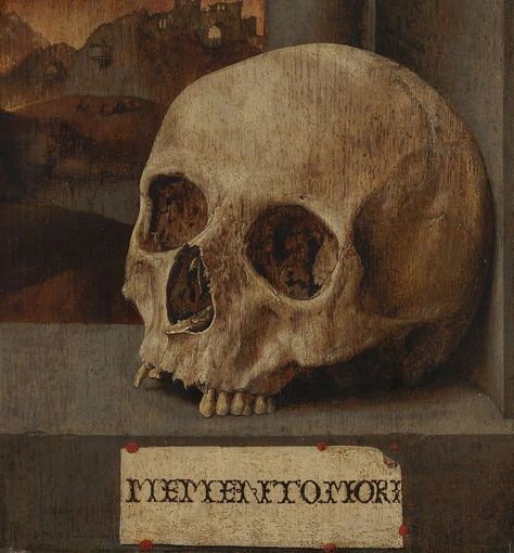 Art Mort, Vanitas Still Life, Dark Acadamia, Art Prints Online, Human Skull, Rembrandt, Memento Mori, Muted Colors, Dark Academia