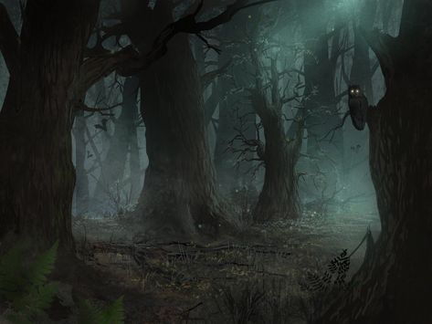 Forest Colors, Dark Forest Aesthetic, Forest Drawing, Snowy Forest, Misty Forest, Fantasy Forest, Forest Wallpaper, Fantasy Places, Fantasy Setting