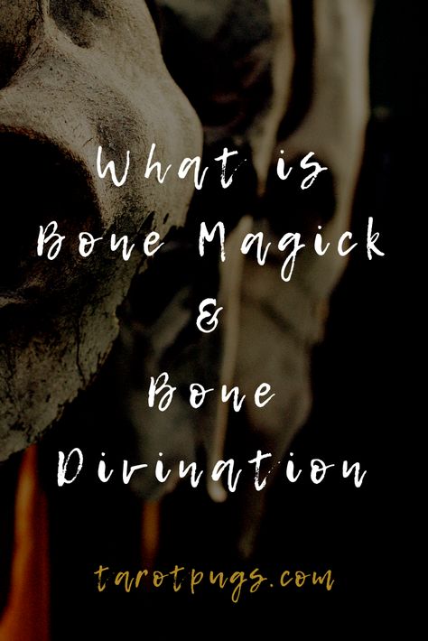 Learn what bone magick is and how bones are used in divination. #witchcraft #divination Budget Witchcraft, Bone Magic, Divination Witchcraft, Witchcraft Divination, Bone Reading, Bone Witch, Divination Methods, Eclectic Witch, Witch Craft