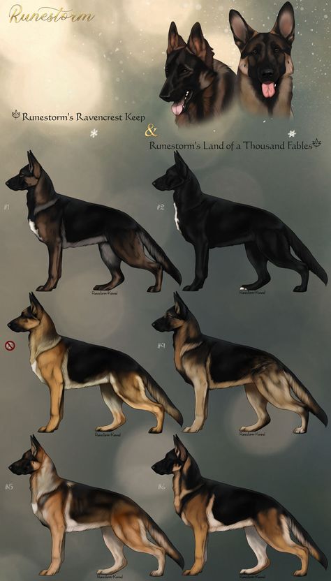 Fantasy Pets, Chocolate Rain, German Shepherd Colors, Lup Singuratic, Dog Design Art, Cute Dog Drawing, German Shepherd Pictures, Canine Art, Shepherd Dogs