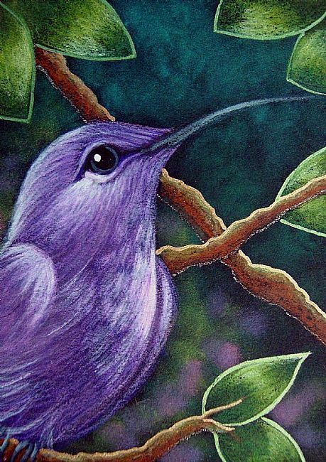 Oil Pastel Paintings Ideas, Painting Illusions, Violet Sabrewing, Bird Painting Acrylic, Hummingbird Painting, Blue Owl, Hummingbird Art, Pastel Artwork, Oil Pastel Paintings