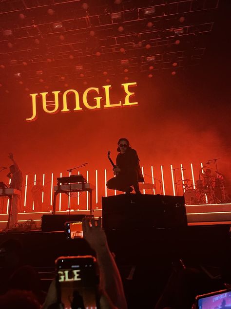 Jungle Band, Jungle Music, Funky Music, Sketchbook Inspo, Band Wallpapers, Spotify Playlists, Jungle Wallpaper, Music Posters, Music Aesthetic