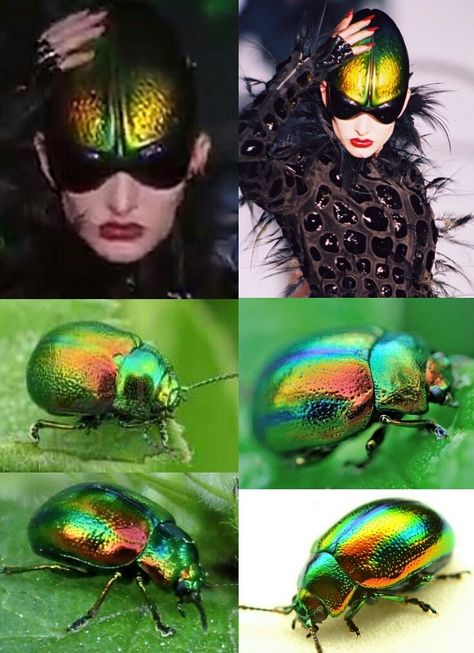 There was a striking iridescent beetle carapace headress in Thierry Mugler's Haute Couture Spring ’97 exoskeletal insect-inspired collection. Before the butterfly finale, all manner of winged and hard-shelled creatures made appearances. Mugler’s chitin carapace-like constructions added a touch of Kafka’s 'Metamorphosis' to his collection and this was later referenced by Nicola Formichetti and Sébastien Peigné in their Autumn 2012 show for the 'House of Mugler'. Mugler Insect Collection, Insect Inspired Fashion, Bug Inspired Fashion, Mugler Insect, Metamorphosis Costume, Insect Clothes, Insect Couture, Beetle Costume, Iridescent Beetle