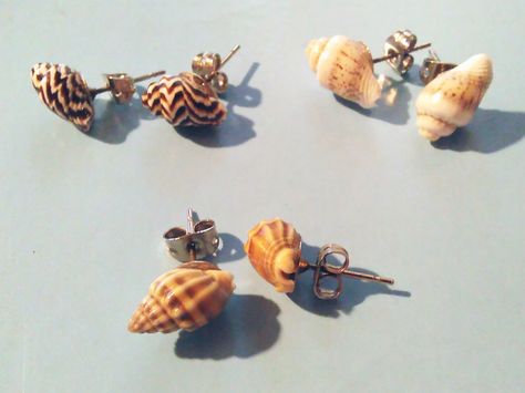 CrazyDiyMom | DIY seashell earring studs Shell Crafts Diy, Seashell Earrings, Seashell Jewelry, Beach Crafts, Seashell Crafts, Earring Studs, Shell Art, Shell Jewelry, Shell Crafts