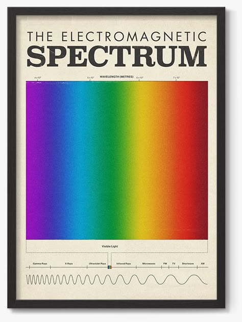 Spectrum Graphic Design, Color Spectrum Design, Spectrum Illustration, Visible Light Spectrum, Colour Spectrum, Light Spectrum, Visible Spectrum, Electromagnetic Spectrum, Cinematic Lighting