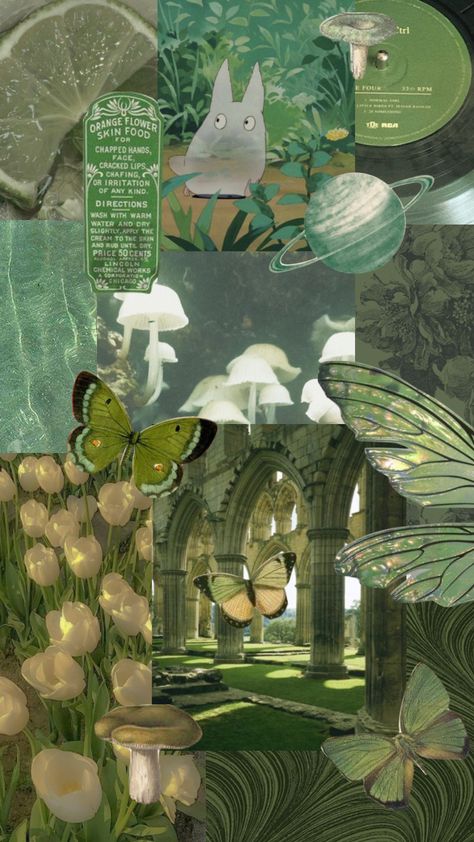 Green Aesthetic Mushroom, Green Mushroom Aesthetic, Fairy Vibe, Aesthetic Mushroom, Fae Aesthetic, Cottagecore Wallpaper, Green Mushroom, Creepy Crawlers, Mushroom Fairy