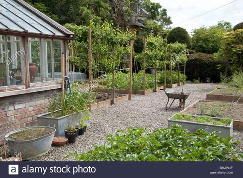 why does this make my heart beat faster ? Raised Vegetable Gardens, Vegetable Beds Raised, Vegetable Garden Planning, Backyard Water Feature, Potager Garden, Backyard Vegetable Gardens, Gravel Garden, Veg Garden, Vegetable Garden Design