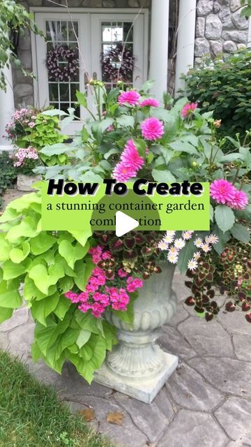 🌸 Mary Ann ~ Seasonal Home & Garden Tips. on Instagram: "Full List Below👇🏻
.
🪴 How to create a stunning container garden combination.
.
🪴 FIVE steps to remember when picking out your annuals for your containers:
.
1️⃣ Decide on a color palate:
.
🌸 Choosing a color palate can be tricky. I tend to choose colors I LOVE.
.
🌸 Keep in mind the area of the garden your planter is going in and choose colors that are complimentary.
.
🌸 In this container, I am using hot pink and chartreuse, which is one of my favorite color palates in the garden. 
.
2️⃣ Pick a statement or thriller plant:
.
🪴 This is the plant that acts as your focal point of your container.
.
🌿 Usually this plant goes in the middle or towards the back. 
.
🪴 It’s normally vertical and dramatic.
.
🌿 In this container, I am Color Palate, Choose Colors, Container Plants, Focal Point, Diy Garden, Container Gardening, Gardening Tips, Garden Art, Favorite Color