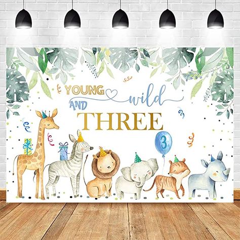 Third Birthday Boys, 3rd Birthday Party For Boy, Jungle Birthday Party, Birthday Party Background, Zoo Birthday, Third Birthday Party, Birthday Themes For Boys, Safari Birthday Party, Outdoor Party Decorations