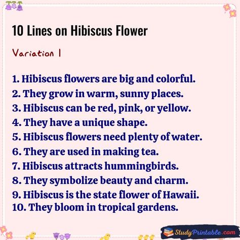 10 Lines on Hibiscus Flower Variation 1 Hibiscus Flower Plant, Orange Hibiscus Flower, Orange Hibiscus, Making Tea, Show Beauty, Tropical Gardens, How To Attract Hummingbirds, Hibiscus Flower, How To Make Tea