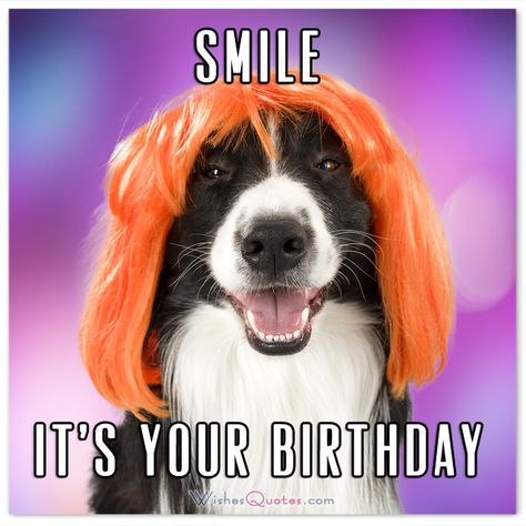 SMILE! IT’S YOUR BIRTHDAY #FunnyBirthdayWishes Happy Birthday Humorous, Funny Birthday Pictures, Funny Birthday Message, Funny Happy Birthday Images, Funny Happy Birthday Wishes, Happy Birthday Quotes Funny, Birthday Wishes Funny, Happy Birthday Meme, Love Anniversary Quotes