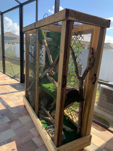 Iguana Cage, Diy Bird Cage, Snake Tank, Bird Aviary, Sugar Gliders, Pet Ideas, Diy Birds, Reptiles Pet, Sugar Glider