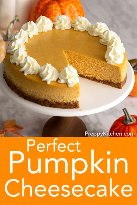 Preppy Kitchen Pumpkin Cheesecake, Pioneer Woman Pumpkin Cheesecake, Pumpkin Cheesecake With Pecan Crust, Pumpkin Cheesecake With Graham Cracker Crust, Simple Pumpkin Cheesecake, Homemade Pumpkin Cheesecake, Pumpkin Cheesecake Baked, Pumpkin Cheesecake Recipes Easy, Best Pumpkin Cheesecake Recipe