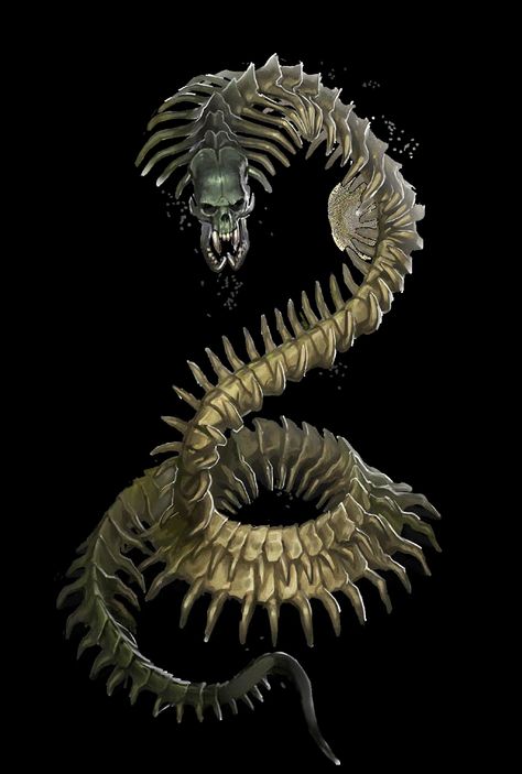 Necrophidius Centipedes, Dark Creatures, Creepy Monster, Creature Artwork, Dnd Monsters, Cool Monsters, Alien Concept Art, Dungeons And Dragons Homebrew, Fantasy Monster