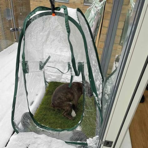 Taking care of your Piddle Patch grass in the winter - Piddle Patch Winter Potty Area For Dogs, Outdoor Dog Potty Area Winter, Outside Pet House Winter, Puppy Grass Patch Diy, Muddy Yard Solutions Dogs, Toilet Outside, Pet Grass Potty Diy, Grass Patch For Cats, Puppy Toilet Training