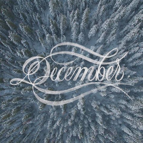 December Typography, December Lettering, Fonts Lettering, Ttf Fonts, Design Photo, Font Design, Typography Fonts, Lettering Design, Design Working