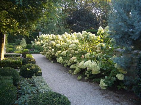 Landscape Layering, Hydrangea Hedge, Heart Landscape, Beautiful Pathways, Hunt House, Parterre Garden, Garden District, Coastal Gardens, Emily Dickinson