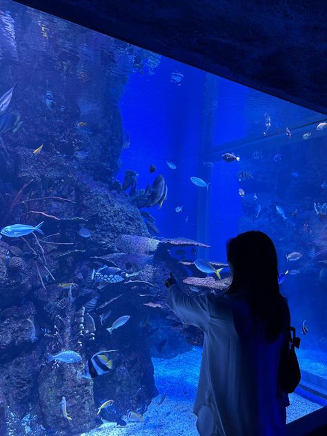 aquarium . pic inspo . aesthetic pics . aquarium date Fish