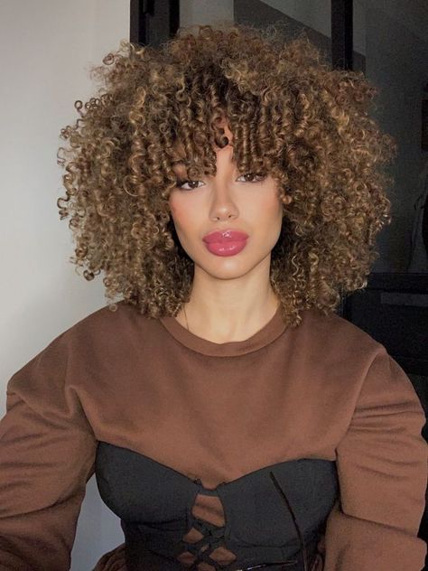 Round Haircut, 3c Curly Hair, Curly Fro, Natural Curly Hair Cuts, Natural Afro Hairstyles, Colored Curly Hair, Beautiful Curly Hair, Hairdos For Curly Hair, Curly Afro