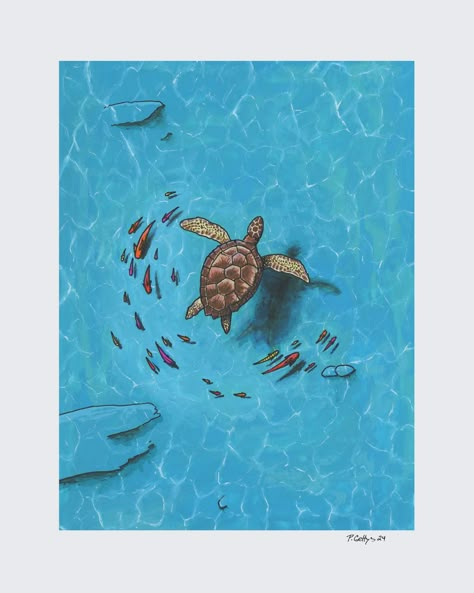 Prints ARE available of my latest paintings! They are available in 11x14 and 8x10 versions. Check out the featured section of my website (moon-reef.com, link in my bio)!! Also, I am currently open for commissions, send me a DM if your interested. #illustrator #oceanartist #oceanlife #seaart #divinglife #oceanlifestyle #marinelife #wildlife #art #scubadivingart #artistsoninstagram #reef #beachlife #scuba Swimming With Fish, Sea Turtle Poster, Sea Turtle Swimming, Sea Turtle Painting, Gouache And Ink, Large Gallery Wall, Water Print, Tattoo Time, Turtle Swimming