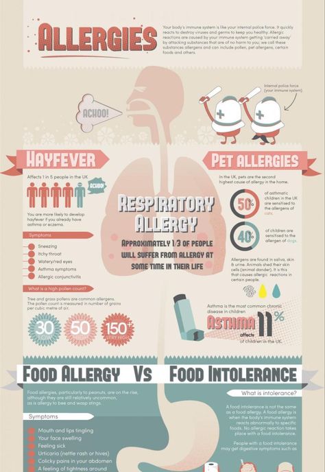 Allergy Fact Sheet Infographic Idea2 - Infographic Ideas For Healthcare Europass Cv, Scientific Poster Design, Infographic Ideas, Infographic Examples, Scientific Poster, 잡지 레이아웃, Ambassador Program, Infographic Layout, Education Poster Design