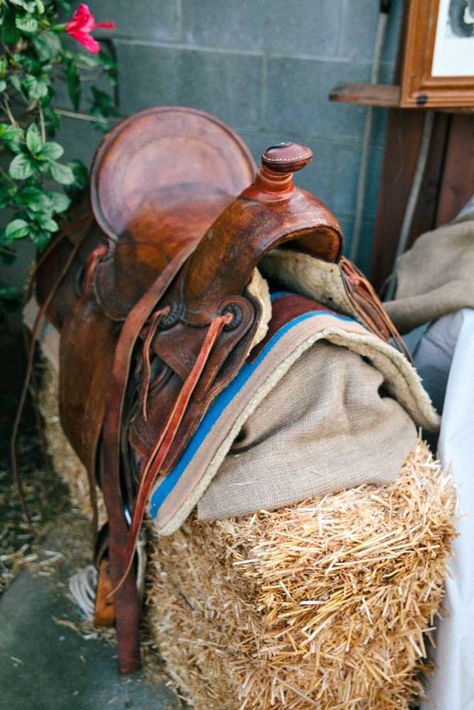 Western Party For Adults, Cowboy Birthday Party Ideas, 1st Rodeo, Wild West Theme, Wild West Party, Western Birthday Party, Rodeo Party, Country Birthday, Horse Birthday Parties