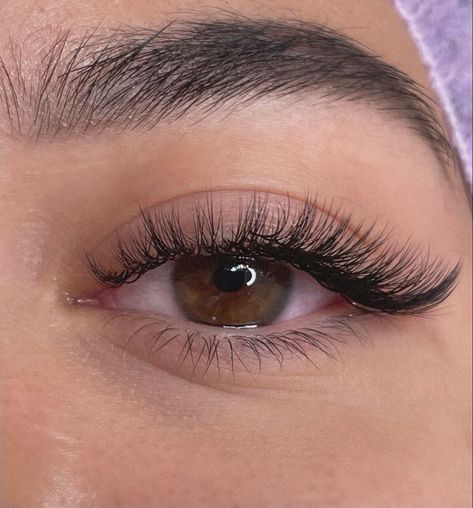 EXTENSÃO DE CÍLIOS - PASSO A  PASSO Eyelash Extensions Classic, Natural Fake Eyelashes, Cat Eye Lash, Lash Extensions Styles, Eyelash Extensions Styles, Perfect Eyelashes, Doll Eye Makeup, Pretty Lashes, Natural Eyelash Extensions