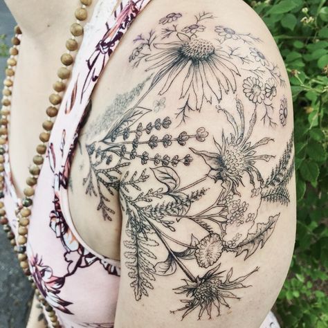 Bee Balm Tattoo, Yarrow Flower Tattoo, Echinacea Tattoo, Wrapping Tattoo, Pine Tattoo, Yarrow Flower, Fern Tattoo, Bee Balm, Bee Tattoo