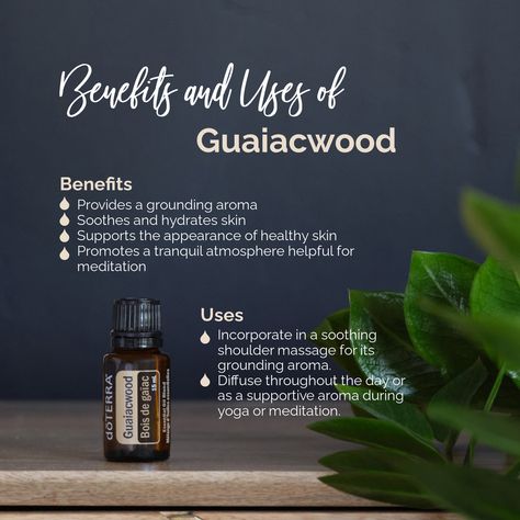 Have you tried Guaiacwood yet? Here are some reasons to add it to your essential oil must-have list! Learn more about Guaiacwood: https://rpb.li/DTK8 Guaiacwood Diffuser Blends, Doterra Oil, Shoulder Massage, Doterra Oils, Diffuser Blends, Have You Tried, Hydrate Skin, Doterra, Try It