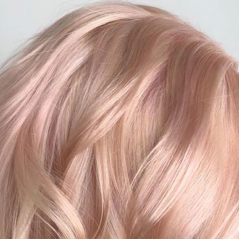 Champagne rose pink blonde hair color by Aveda Artist Haley Pirkle. Pink Toner For Blonde Hair, Pink Blonde Hair Rose Gold, Champagne Blonde Hair Rose Gold, Platinum Blonde Hair With Pink, Pink Champagne Hair Color, Rose Blonde Hair, Blonde And Pink, Gold Blonde Hair, Rose Gold Hair Blonde